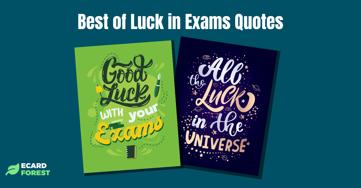 Ideas for what to write in a good luck in exams card