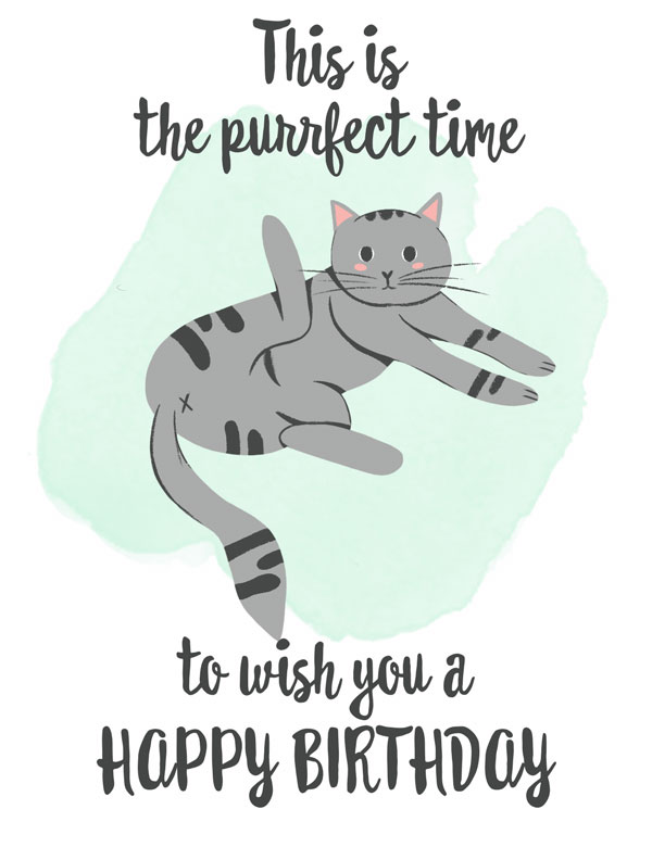 A birthday card with cute, grey cat